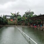 BeautyPlus_20220403222014054_save