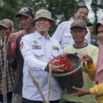 berita-hari-ini-www.mediapatriot.co.id.jpg