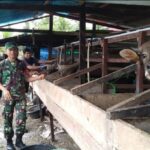 Screenshot_20230506-221914_WhatsApp