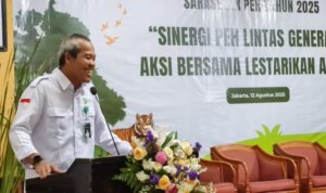 IMG 20250813 WA0227