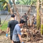 IMG 20250823 WA0035