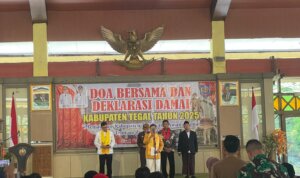 IMG 20250908 WA0015