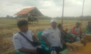 IMG 20250911 WA0038