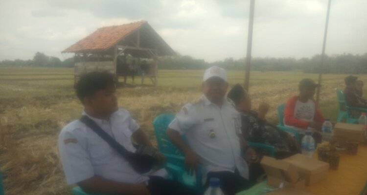 IMG 20250911 WA0038