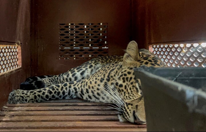 Dokumen mediapatriot.co.id 2025 2012 10 06 16 03 56 697805.jpg