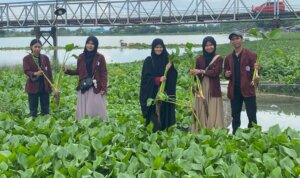 IMG 20251007 WA0057