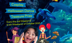 IMG 20251015 WA0058