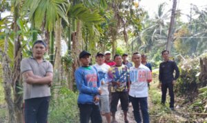 IMG-20251029-WA0036 IMG 20251029 WA0036