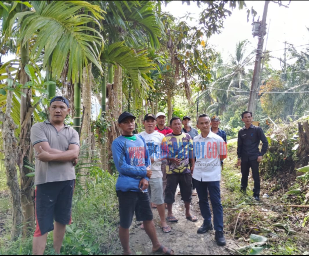 IMG-20251029-WA0036 IMG 20251029 WA0036