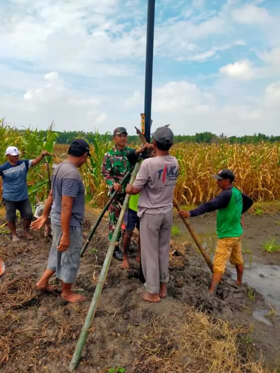 IMG 20251101 WA0035 IMG 20251101 WA0035