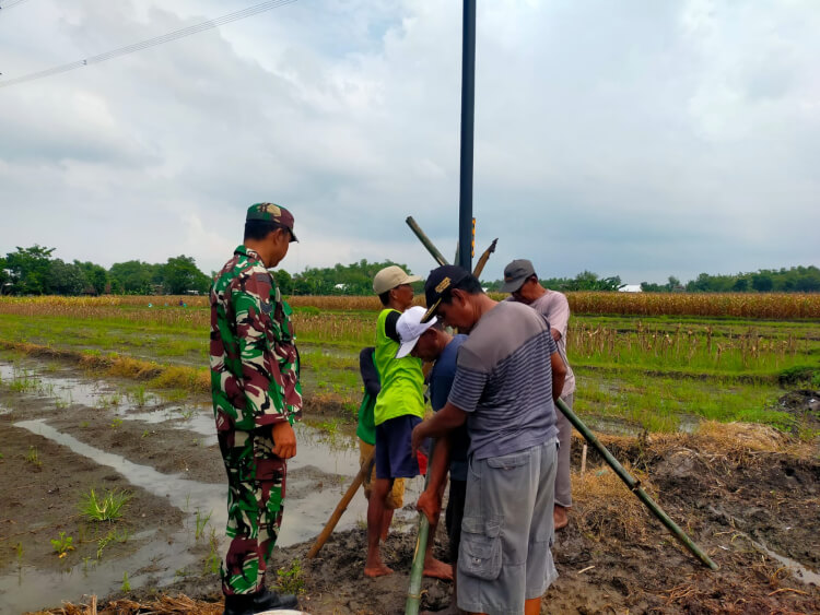 IMG 20251101 WA0036 IMG 20251101 WA0036