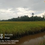 2025 11 02 08.13.55 2025 11 02 08.13.55