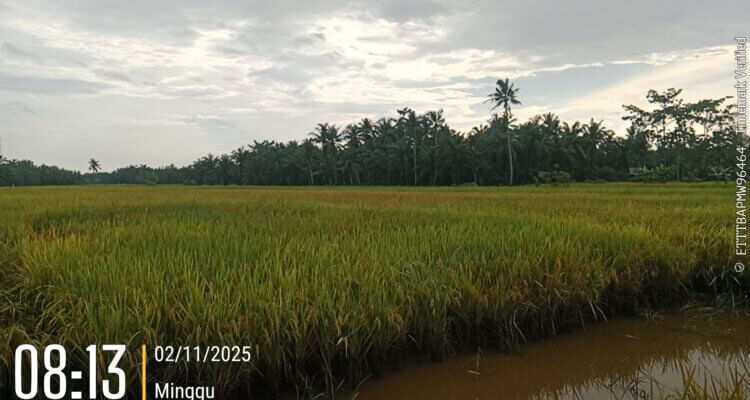 2025 11 02 08.13.55 2025 11 02 08.13.55