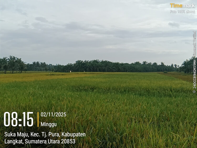 2025 11 02 08.15.19 2025 11 02 08.15.19