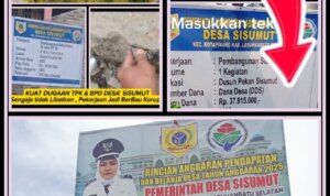 IMG-20251104-WA0058 IMG 20251104 WA0058