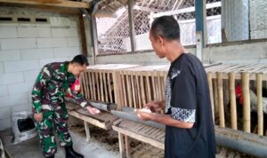 IMG 20251104 WA0058 IMG 20251104 WA0058