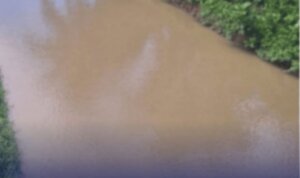 Dokumen mediapatriot.co.id 2025 2012 11 07 10 37 32 192532.jpg Dokumen mediapatriot.co.id 2025 2012 11 07 10 37 32 192532.jpg