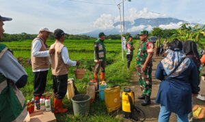 IMG 20251107 WA0018 IMG 20251107 WA0018