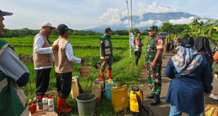 IMG 20251107 WA0018 IMG 20251107 WA0018