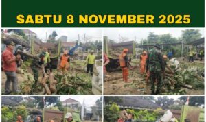 IMG-20251108-WA0012 IMG 20251108 WA0012