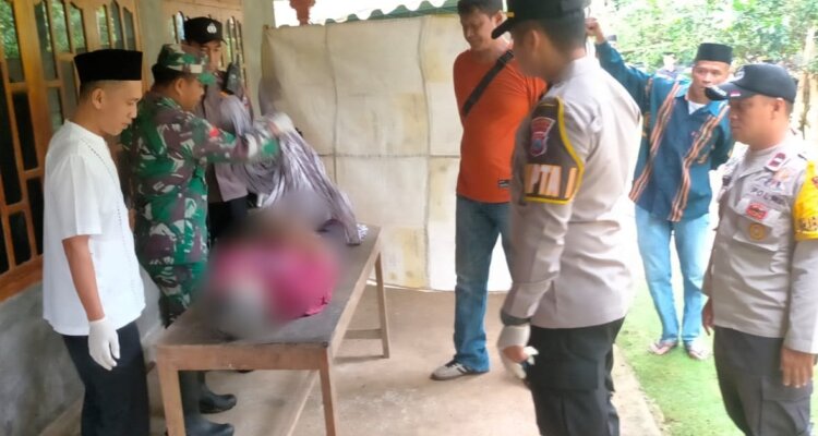 IMG 20251109 WA0020 IMG 20251109 WA0020