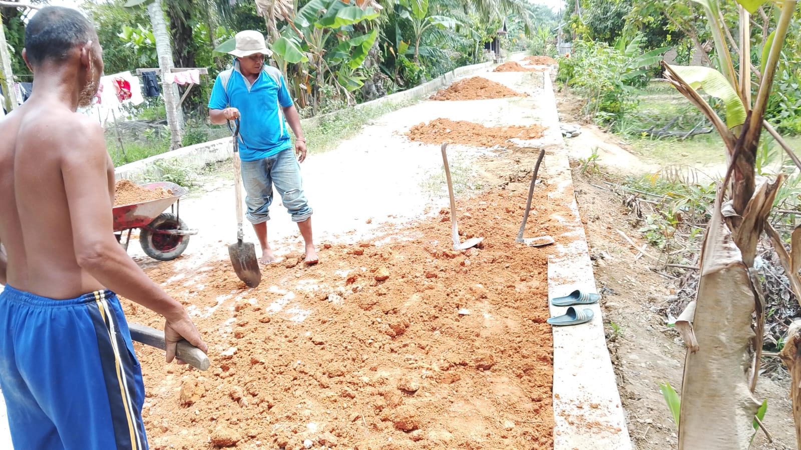 IMG 20251110 WA0025 IMG 20251110 WA0025