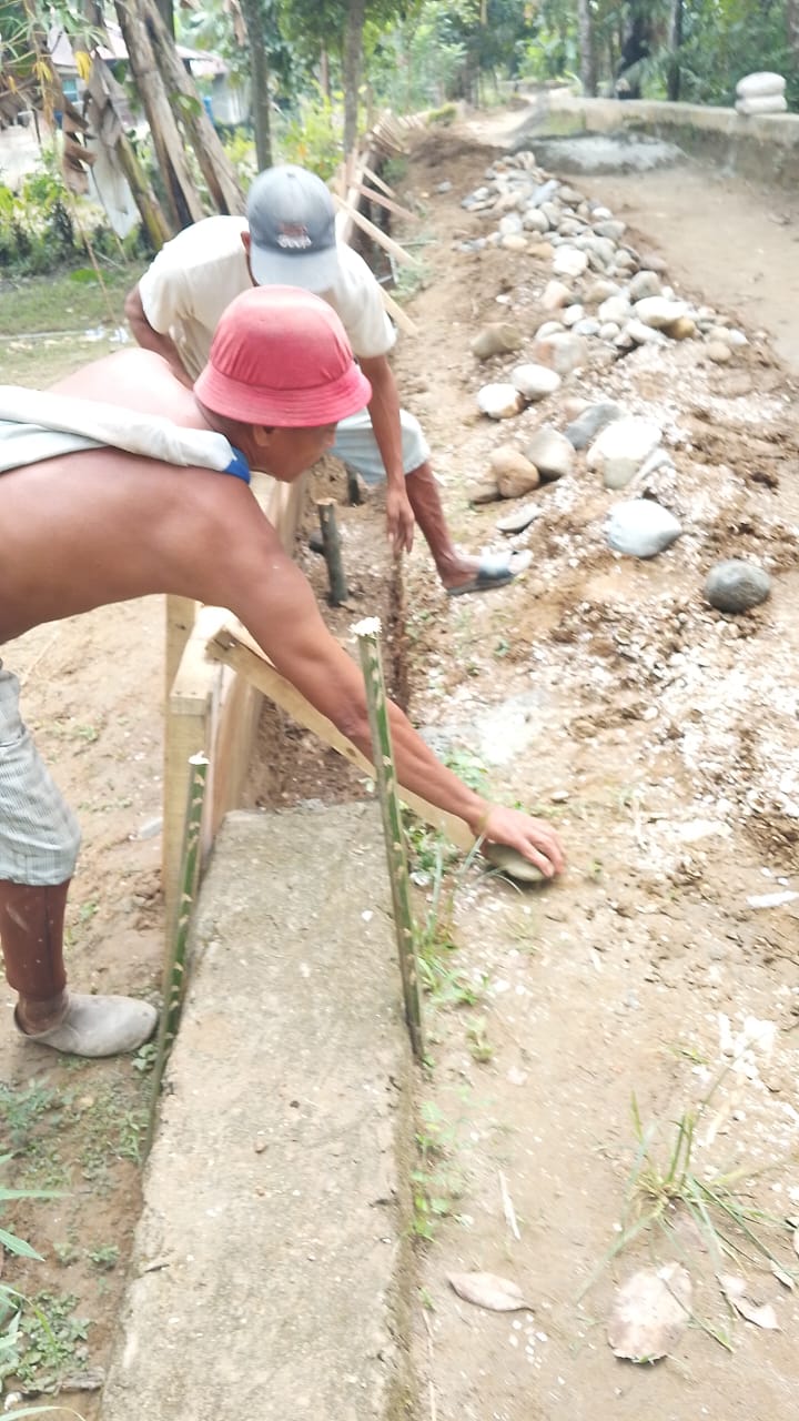 IMG 20251110 WA0014 IMG 20251110 WA0014