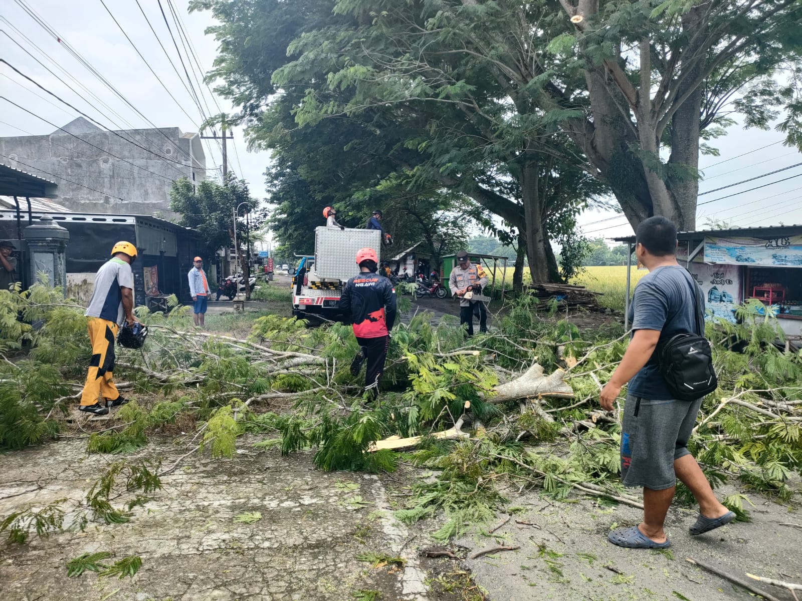 IMG 20251112 WA0061(1)