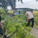 IMG 20251112 WA0062(1)