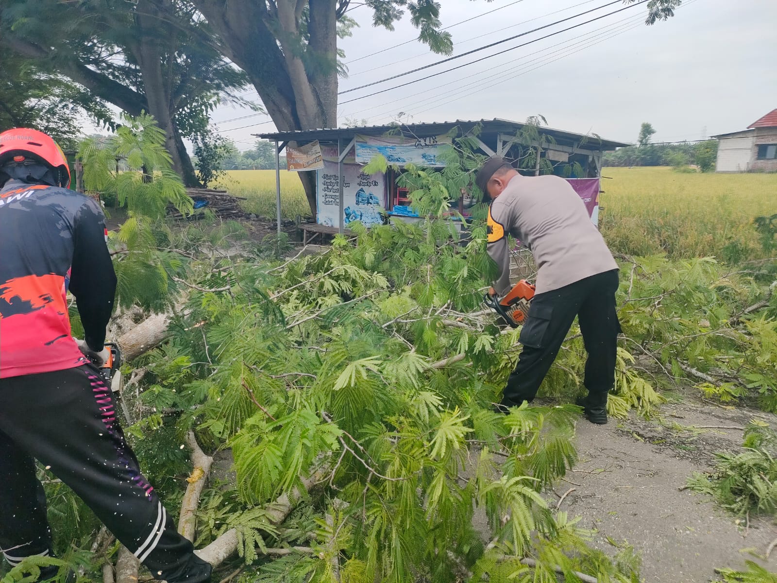 IMG 20251112 WA0062(1)