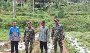 IMG 20251114 WA0024 IMG 20251114 WA0024