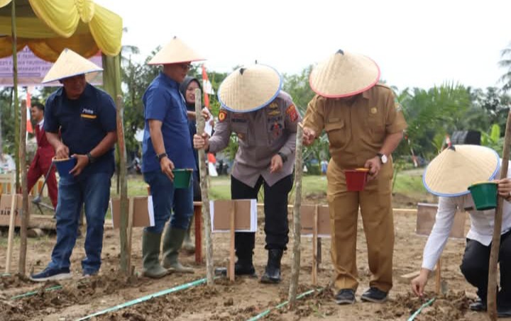 Screenshot 20251115 081803