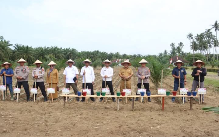 Screenshot 20251115 081809 Screenshot 20251115 081809