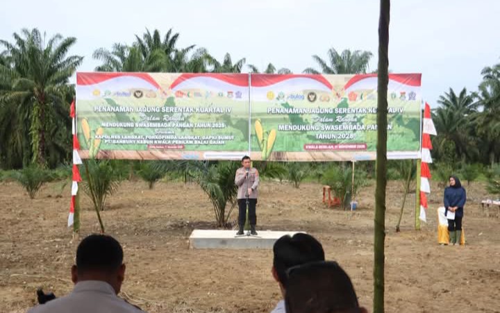 Screenshot 20251115 081814 Screenshot 20251115 081814