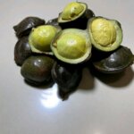 IMG_20251116_062517 IMG 20251116 062517