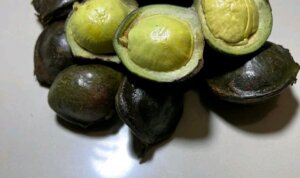 IMG_20251116_062517 IMG 20251116 062517