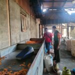 IMG 20251116 WA0017 IMG 20251116 WA0017