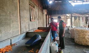 IMG 20251116 WA0017 IMG 20251116 WA0017