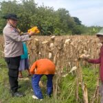 IMG 20251116 WA0020 IMG 20251116 WA0020