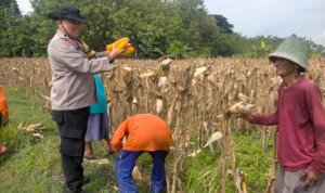 IMG 20251116 WA0020 IMG 20251116 WA0020