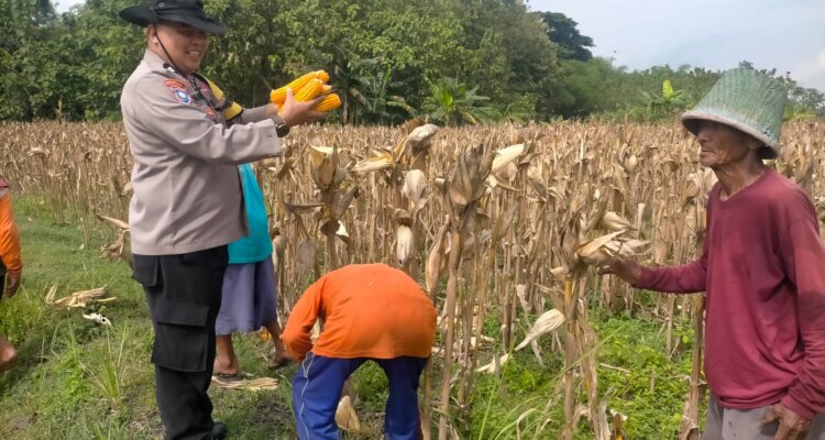 IMG 20251116 WA0020 IMG 20251116 WA0020