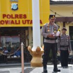 Dokumen mediapatriot.co.id 2025 2012 11 18 10 34 13 209952.jpg