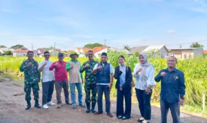 Dokumen mediapatriot.co.id 2025 2012 11 21 17 13 57 682015.jpg