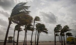 Screenshot 20251124 104049