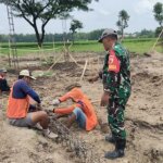 IMG 20251124 WA0024 IMG 20251124 WA0024