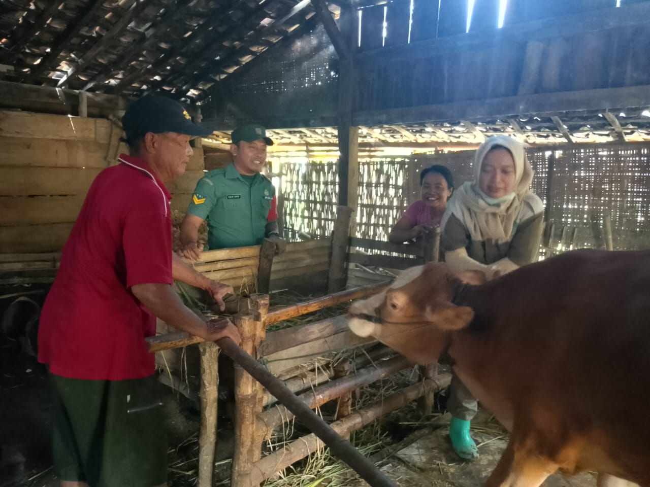 IMG 20251125 WA0036 IMG 20251125 WA0036