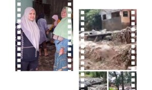 GridArt 20251127 015118889