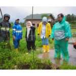 IMG 20251126 WA0070 IMG 20251126 WA0070