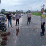 Dokumen mediapatriot.co.id 2025 2012 11 27 07 07 33 655676.jpg