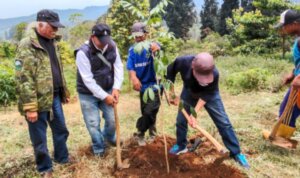 Sumber: https'//www.mediapatriot.co.id 2025 2012 12 02 19 41 46 876252.jpg